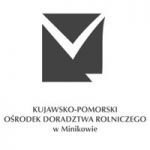 Minikowo